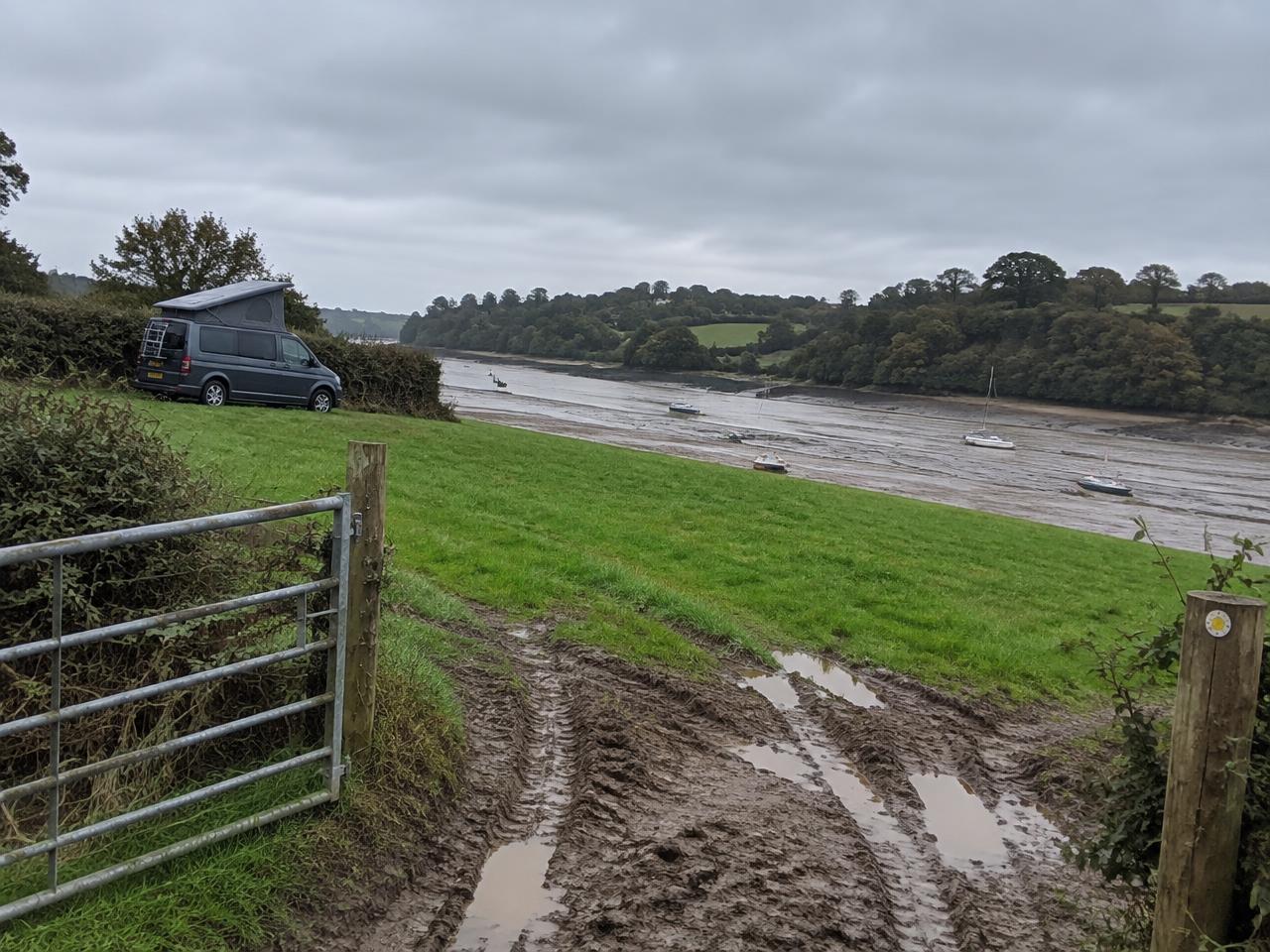 Estuary field near Salcombe