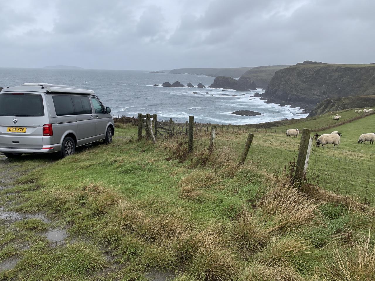 Coastal path field, Pembrokeshire